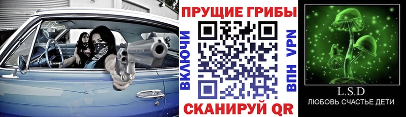 omg рабочий сайт  Елизаветинская  Псилоцибиновые грибы GOLDEN TEACHER 